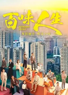 电视剧：喵府风云
